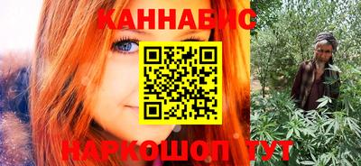 крисы Гай