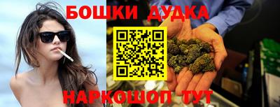 Альфа ПВП Гатчина