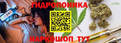 Альфа ПВП Гатчина
