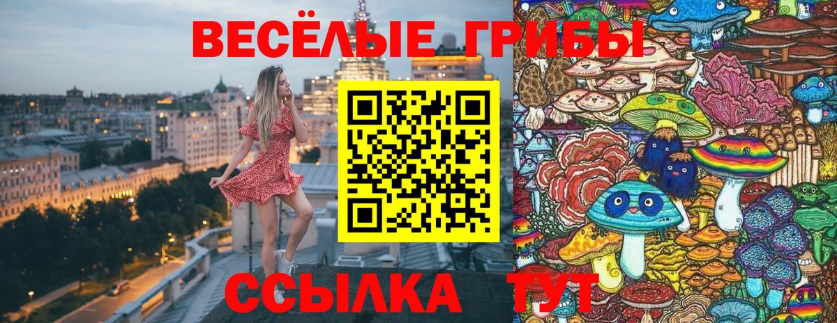 Галлюциногенные грибы мухоморы Гуково
